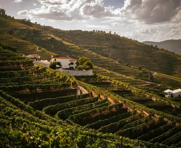 Pinhão vineyards and river